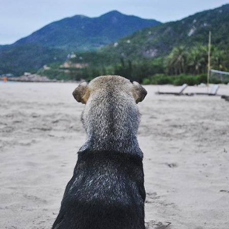 "Diễn thật sâu". Ảnh: emmspavor