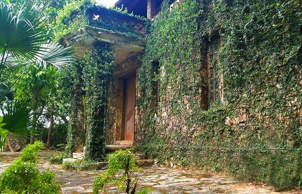 Mặt tiền Jungle House Bắc Ninh bao phủ bởi cây leo