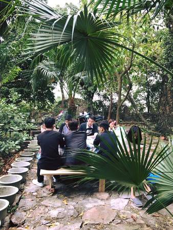 Giường ngủ thoải mái Jungle House Bắc Ninh