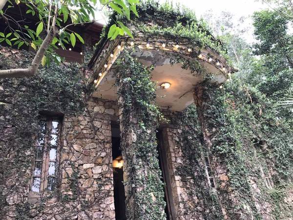 Không gian Jungle House Bắc Ninh nhìn từ xa