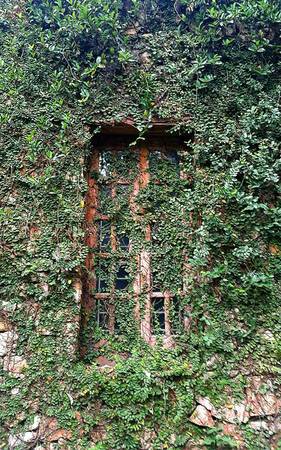 Chi tiết tường đá Jungle House Bắc Ninh
