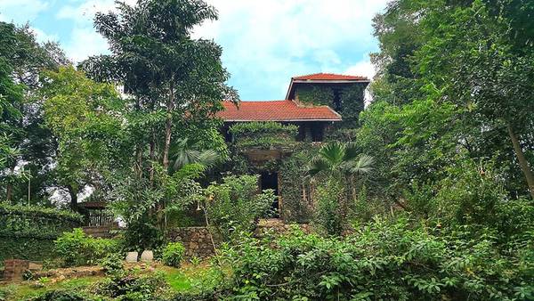 Jungle House Bắc Ninh với kiến trúc lâu đài phủ dây leo