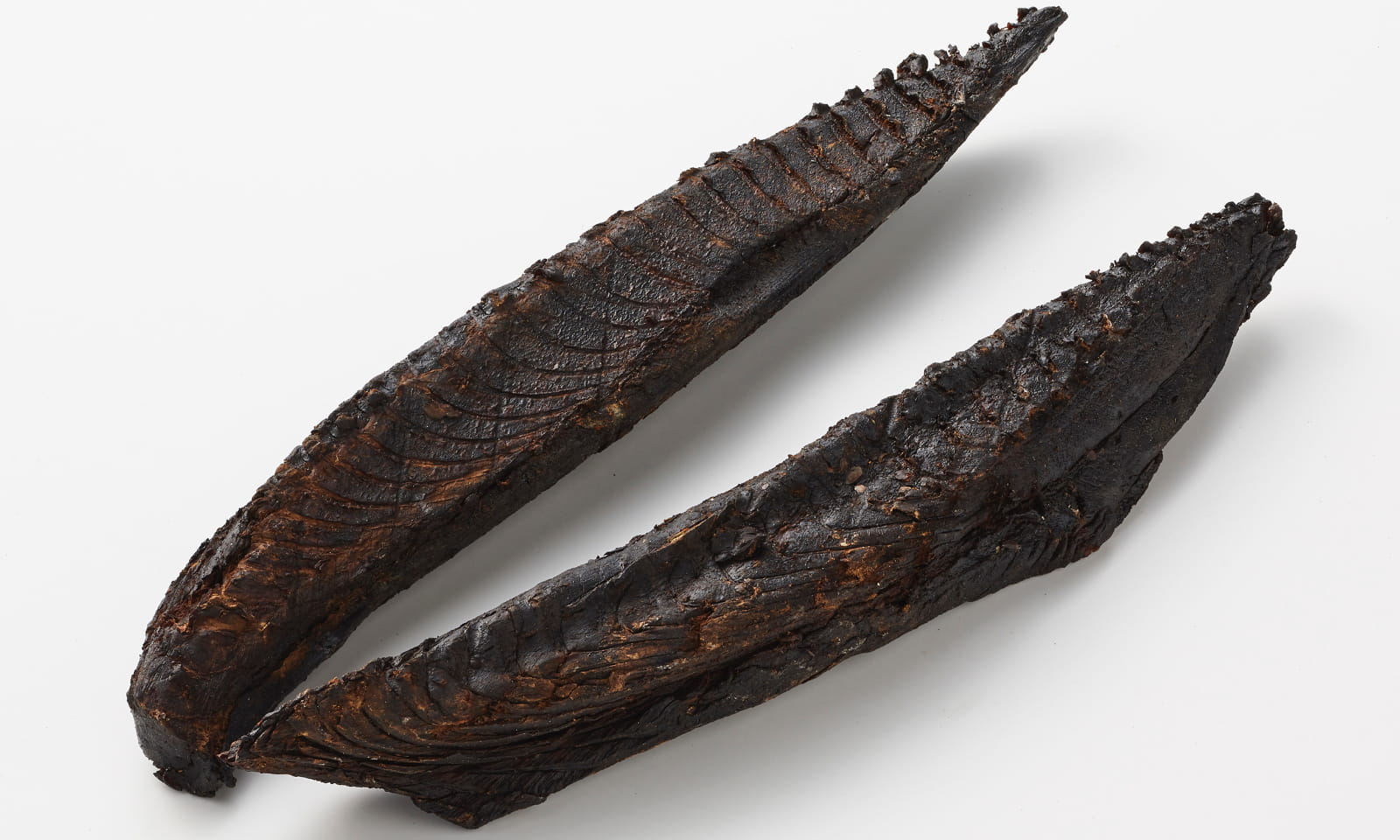 Quá trình bào Katsuobushi cá ngừ khô