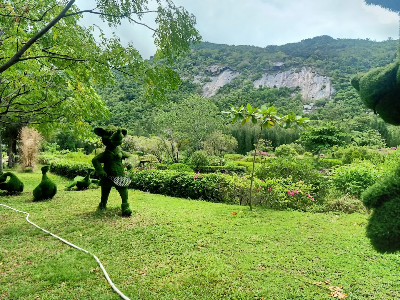 kdl-đảo-hoa-lan-ivivu-2