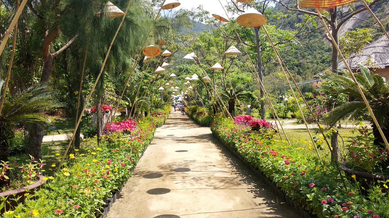 kdl-đảo-hoa-lan-ivivu-6