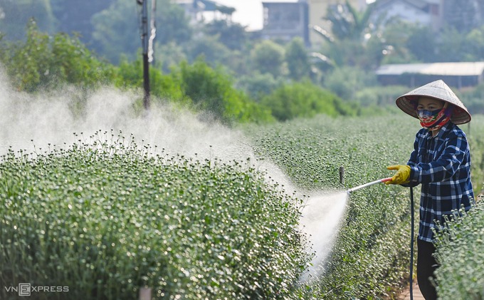 Vườn hoa Nhật Tân mở cửa sớm cho khách