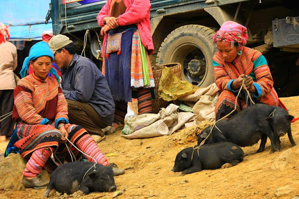 Chợ Mường Hum gần biên giới với phong cảnh đẹp nhất Sapa
