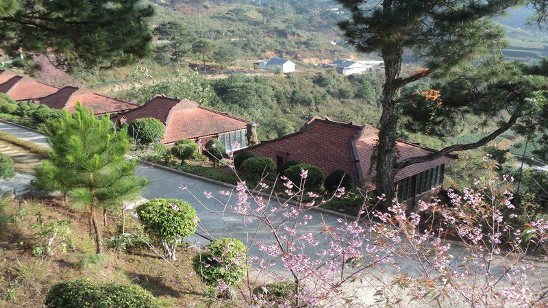 khach-san-da-lat-ivivu-tet-duong-lich-15 khach-san-da-lat-ivivu-tet-duong-lich-15