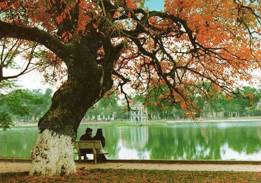 khach-san-flower-garden-ha-noi-ivivu-4