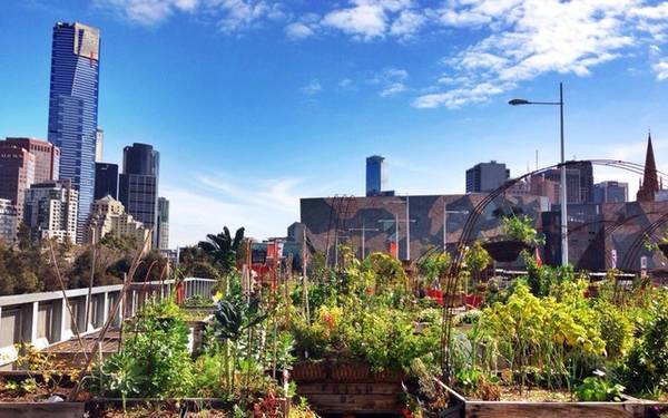 Melbourne: Giá phòng trung bình là 91 Bảng Anh (khoảng 2,98 triệu đồng), giảm 14% so với cùng kỳ năm ngoái.
