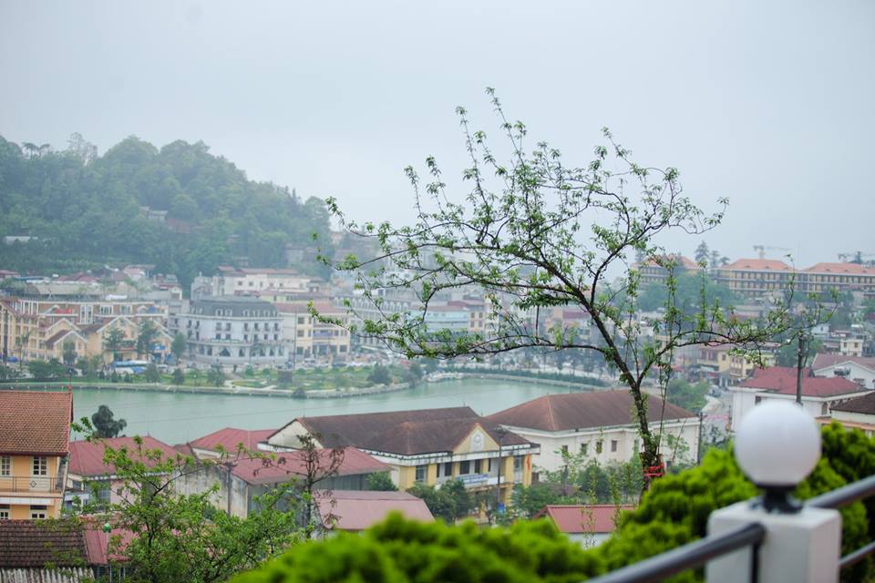 Khách sạn Sapa Village view đồi Vườn Hồng