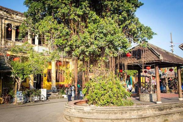 Michael Turtle từng làm việc trong ngành báo chí trong hơn 10 năm ở Australia. Sau đó, anh rời Sydney, bắt đầu chuyến du lịch thế giới không hồi kết. Anh đến Việt Nam và Hội An là cái tên đầu tiên xuất hiện trong danh sách điểm đến nhất định phải ghé thăm.