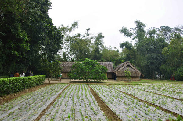 Làng Sen quê Bác Hồ Nghệ An