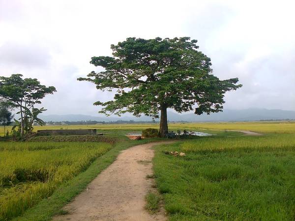 Làng quê Hà Tĩnh