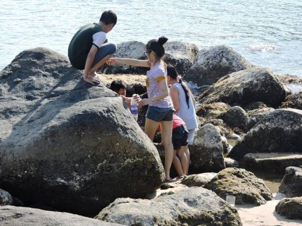 Trẻ em thích thú bắt còng biển tại bãi Rạng Đà Nẵng