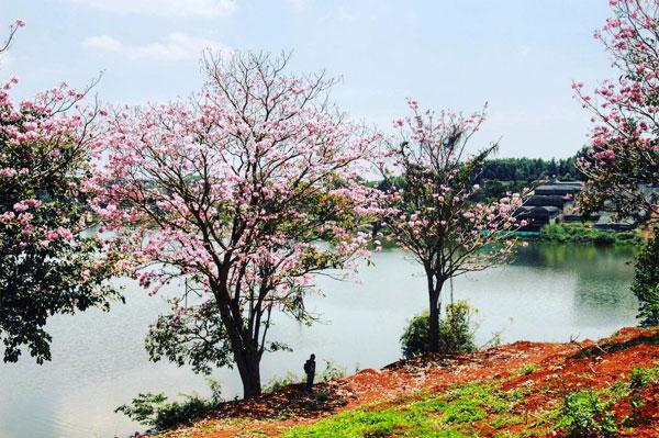 kham-pha-bao-loc-vien-ngoc-tho-dep-de-ivivu-12