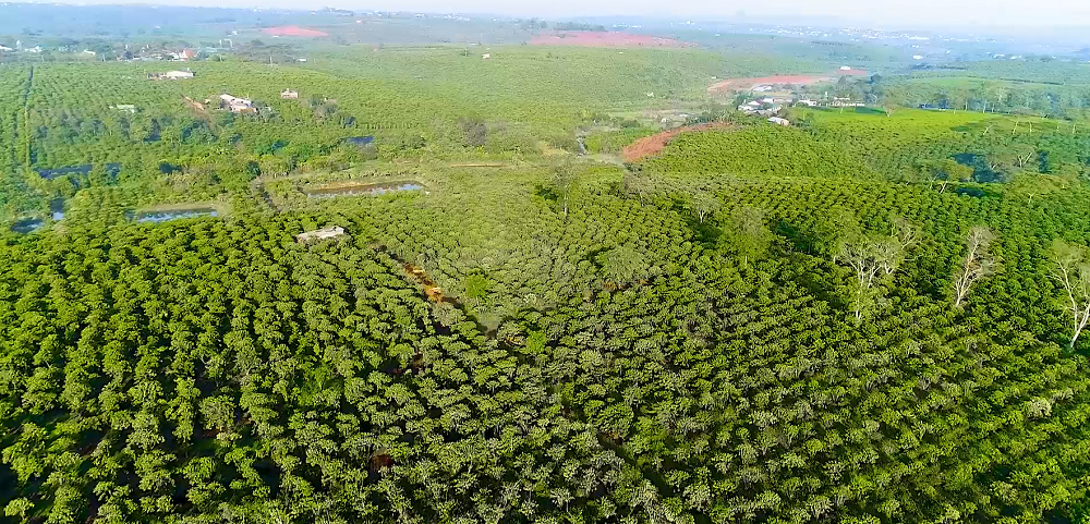 kham-pha-bao-loc-vien-ngoc-tho-dep-de-ivivu-3