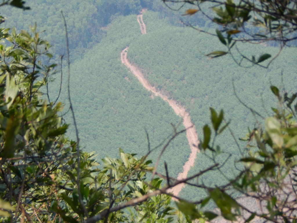 kham-pha-dinh-hon-vuon-tuyet-dep-tai-xu-hue-mong-mo-ivivu-11 kham-pha-dinh-hon-vuon-tuyet-dep-tai-xu-hue-mong-mo-ivivu-11