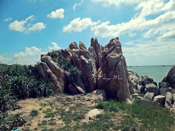 Đồi cát và vườn thanh long trên đường đến Hải đăng Kê Gà