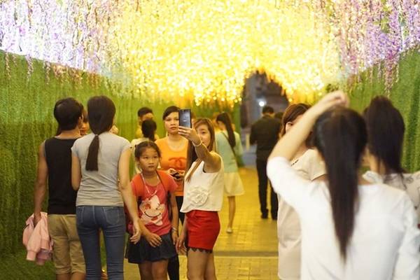 Vườn hoa Tử Đằng miễn phí tại Sài Gòn