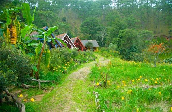 Khám phá thiên nhiên hoang dã tại Làng Cù Lần