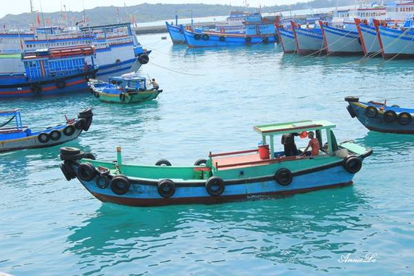 Khám phá những bí ẩn ngọt ngào trên đảo Phú Quý