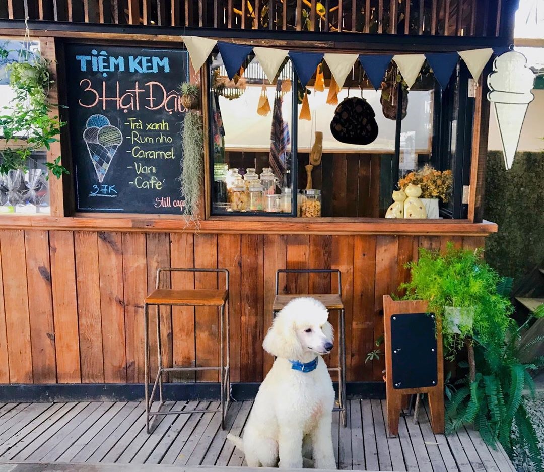 Tiệm kem Pea Creamery tại Still Đà Lạt
