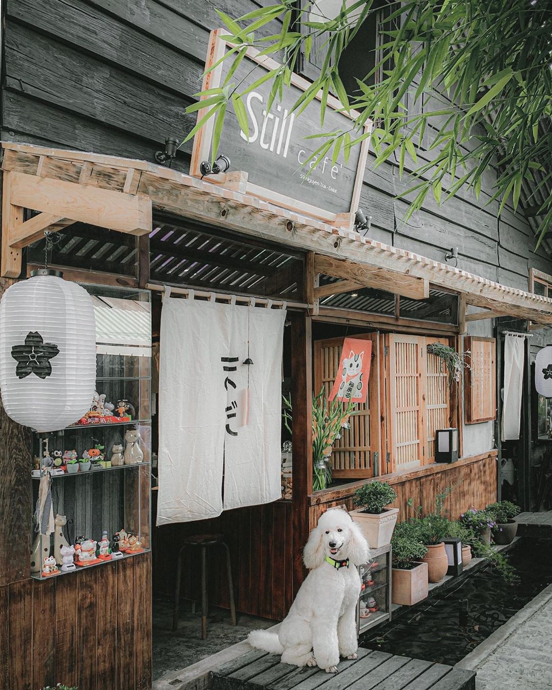 Không gian Still Cafe phong cách Nhật Bản ở Still Đà Lạt