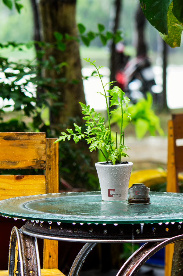 Offline xe mô tô tại quán cà phê container cuối tuần