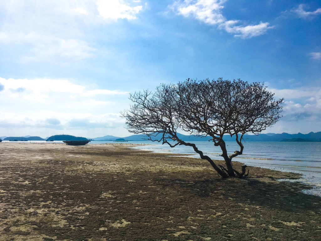 Đảo Quan Lạn - điểm đến du lịch Quảng Ninh hoang sơ