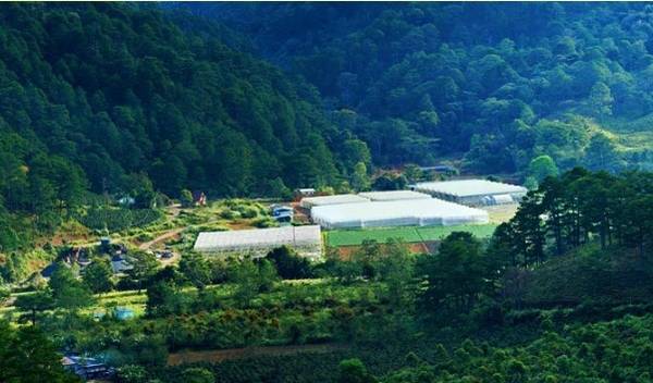 Trải nghiệm hái dâu tây ở Đà Lạt tại trang trại Biofresh sạch chuẩn châu Âu