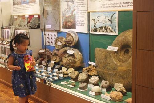 Du khách tham quan các khu trưng bày tại Bảo tàng Thiên nhiên Việt Nam