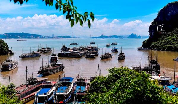 Ra khỏi động, chiếc cầu gỗ dài rợp bóng cây xanh lần nữa đưa bạn trở về tàu, tiếp tục hành trình khám phá vịnh.