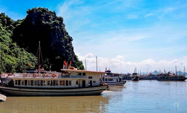 Đến Hạ Long vài lần, nhưng lần nào khi đặt chân đến Bãi Cháy (thành phố Hạ Long, tỉnh Quảng Ninh), khi nhóm bạn đi thuê tàu khám phá vịnh, tôi chỉ làm một việc là dõi mắt ra xa, ngắm phong cảnh. Hạ Long đón tôi như một người bạn đi xa lâu ngày gặp lại.