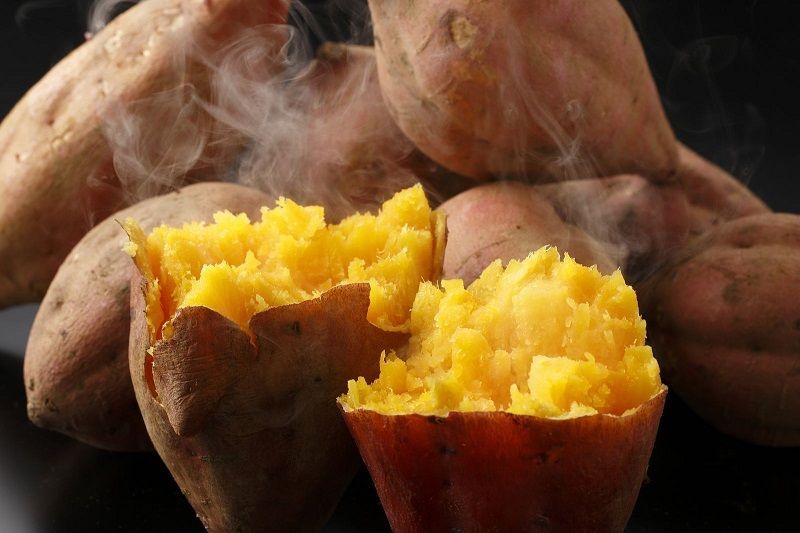 khoai -lang- nướng-Hà-Nội-ivivu