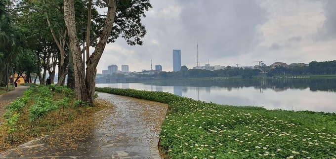 Con đường ngập lá sau cơn mưa trên tuyến đường đi bộ bờ Bắc sông Hương