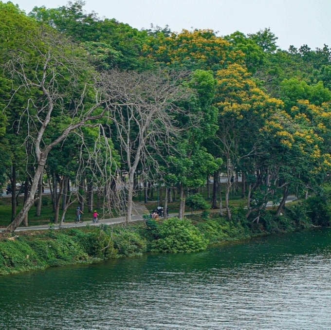 Góc chụp tuyệt đẹp hướng về đường đi bộ bờ Bắc sông Hương