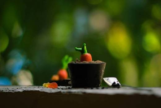 Bánh “ăn luôn chậu” không chỉ vui mắt mà còn mang đến niềm vui ăn uống bất ngờ cho những bạn trẻ Sài Gòn. Phần chậu được làm từ sô cô la khá giòn mà lại không quá ngọt, đăng đắng đúng chất sô cô la Bỉ, bên trong là phần “đất” là bánh oreo xay nhuyễn và thu hút sự chú ý là củ cà rốt làm bằng kẹo sữa mềm cực đáng yêu. (Ảnh: Internet)
