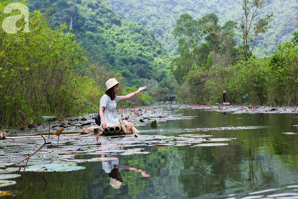 Địa điểm hoa súng chùa Hương lý tưởng tìm bình yên tại Hà Nội