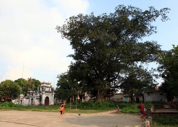Vẻ đẹp bình yên tĩnh lặng bên ngoài cổng chùa Bối Khê