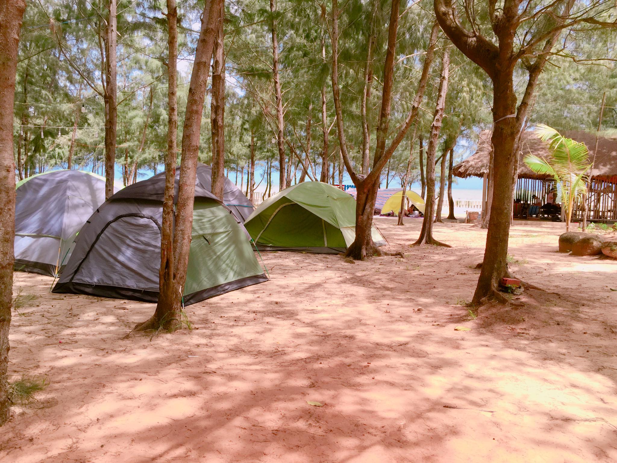 Khu cắm trại Vũng Tàu Paradise1