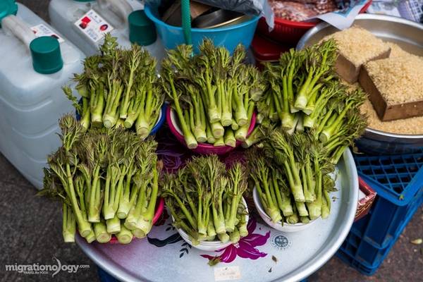 Chợ được chia làm nhiều khu khác nhau, từ bán rau củ quả, hải sản tươi sống, quần áo cho tới những đồ ăn, thức uống và nhiều loại hàng hóa khác.