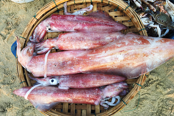 Mực ngày thường giá 100.000 đồng/kg tại chợ Tam Tiến Quảng Nam, dịp lễ tăng gấp đôi.