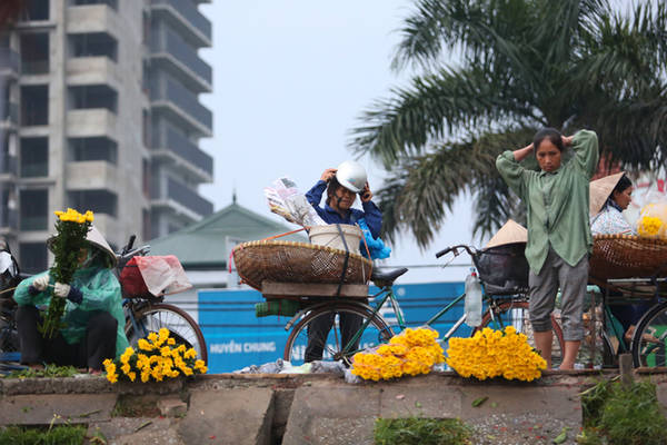 Gánh hàng hoa từ chợ hoa Quảng Bá