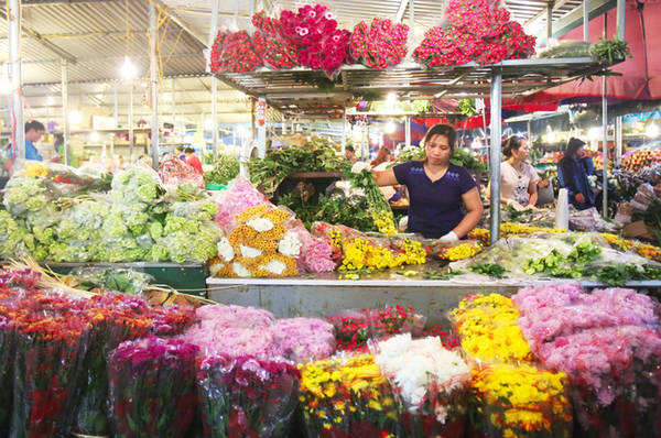 Hoa hồng, cúc, thược dược tại chợ hoa Quảng Bá