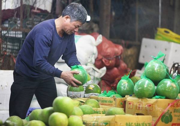 Hoa quả nhập khẩu giá cao được bán tại chợ Long Biên