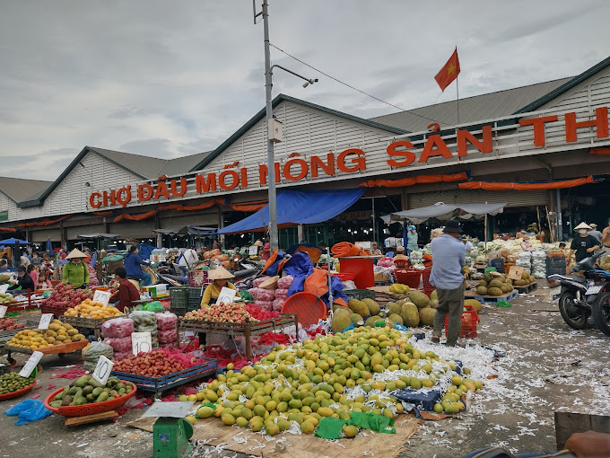 Ảnh: Quang Dinh.
