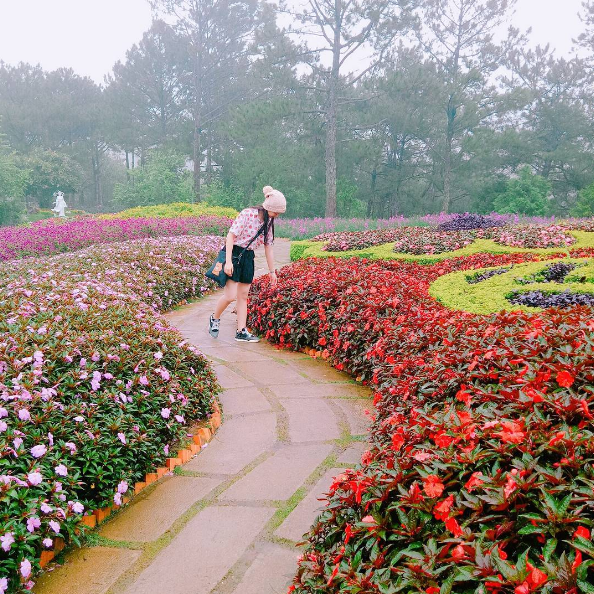 Ảnh: hua_thaovi