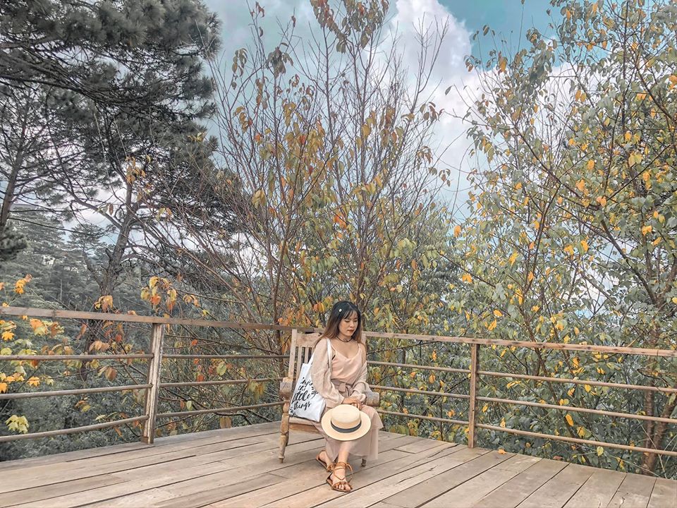 Cảnh đẹp mùa lá phong tại khu du lịch Lá Phong Đà Lạt
