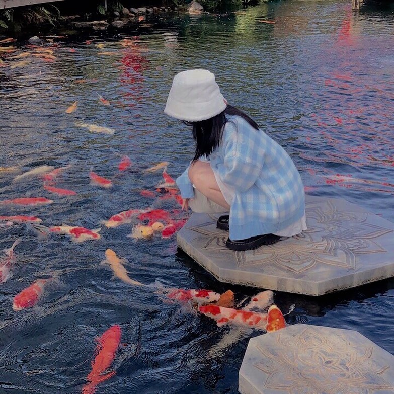 Ảnh: @gianguyen2803.